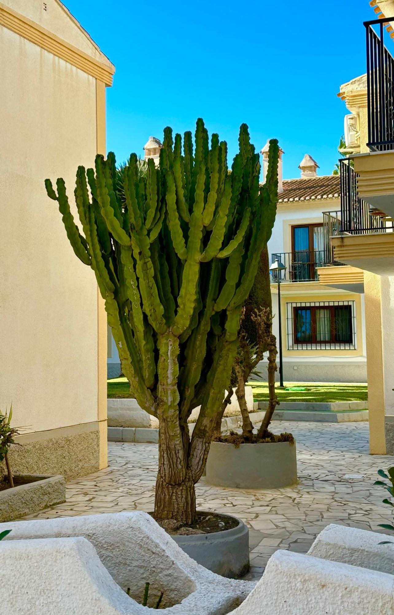 Casa Veranera Vera Costa Playas de Vera Exterior foto